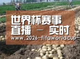 种植基地七(图1)