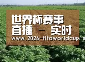 种植基地五(图1)