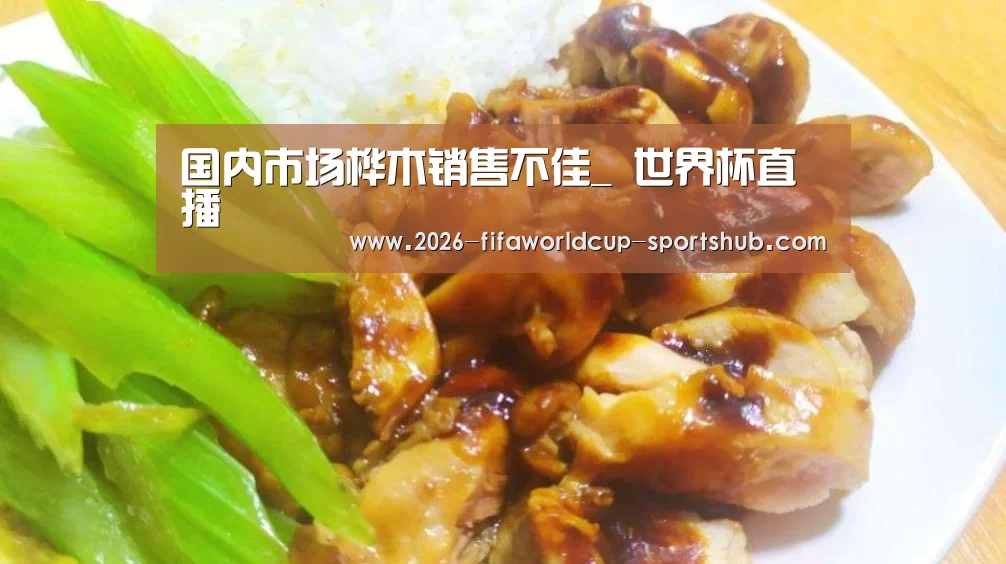 世界杯赛事直播