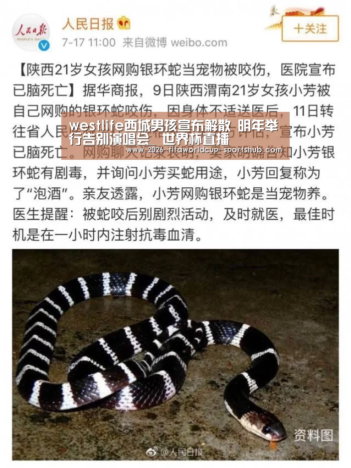世界杯赛事直播